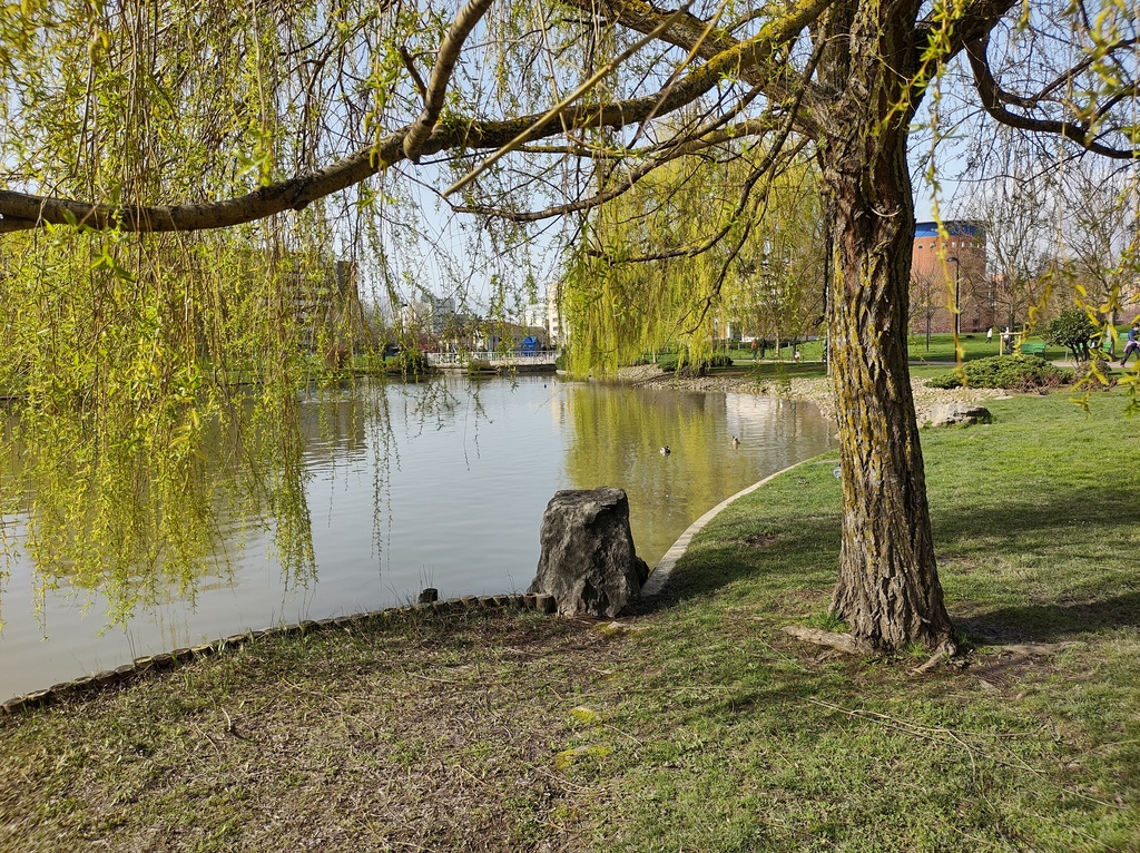 No s'ha  trobat l'arxiu